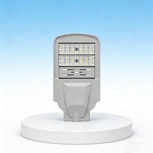 LED street light